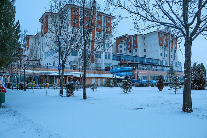 Genel Görünüm