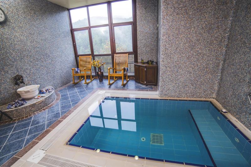 VIP Salonu